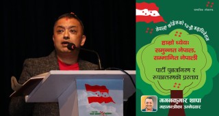 महामन्त्रीकाे उम्मेदवारी घाेषणा गर्दै नेता थापाले सार्वजनिक गरे काँग्रेस पुनर्जागरण र रुपान्तरणको प्रस्ताव (पूर्णपाठसहित)