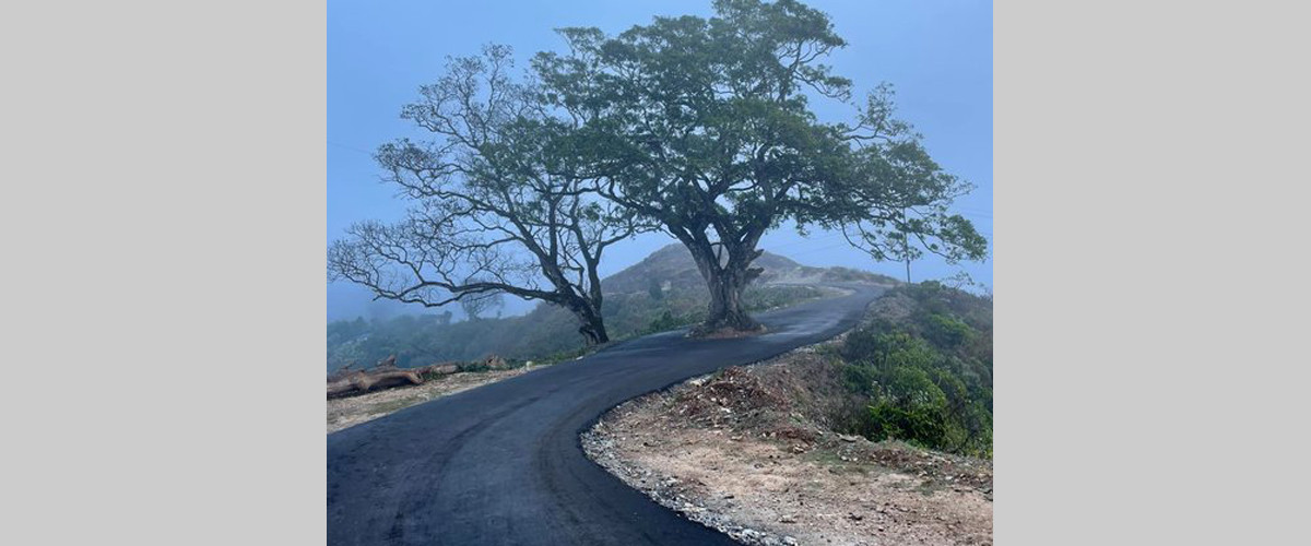 तनहुँसुरको भाइरल चौताराकाे संरक्षण गरिने