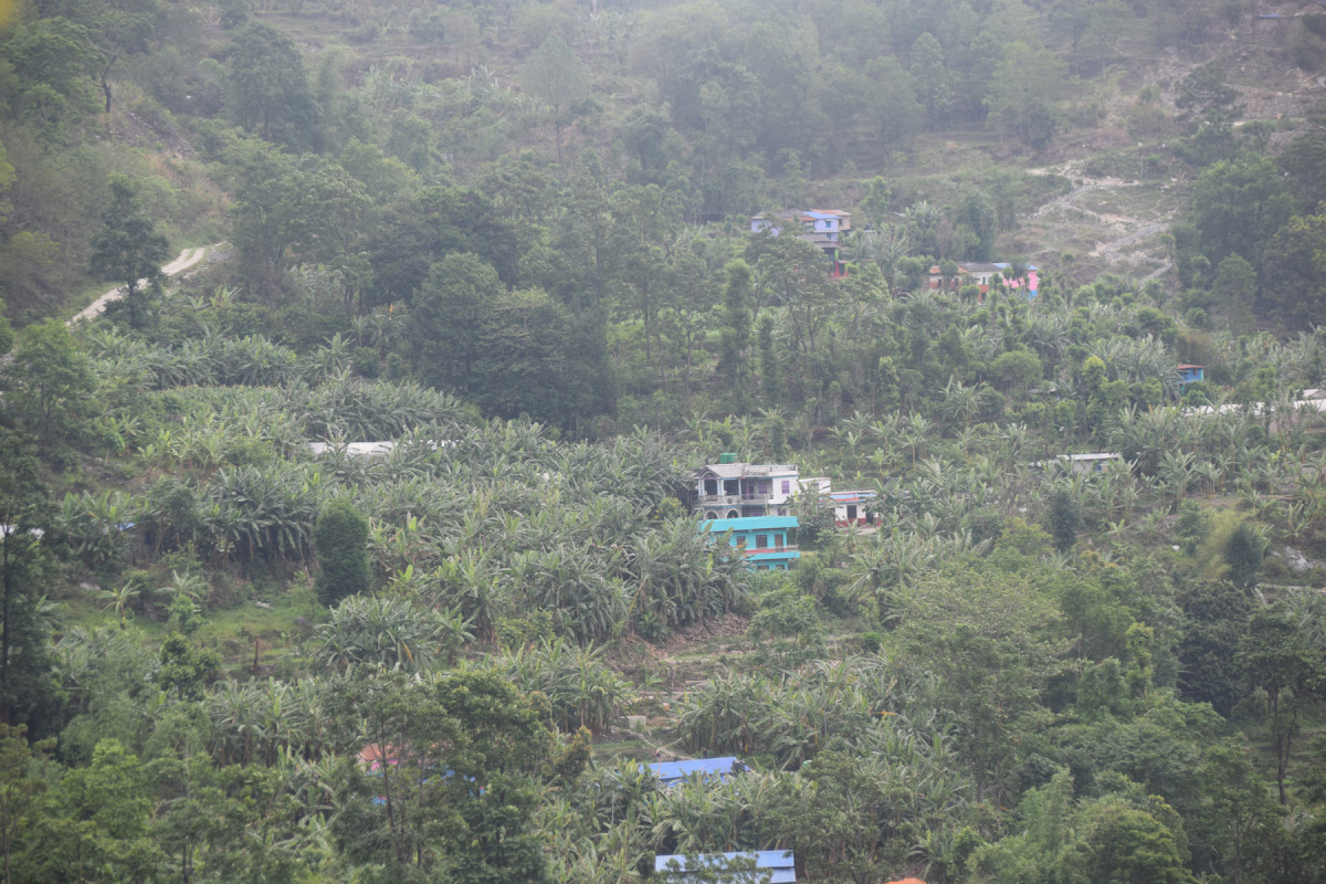 केराखेतीबाट आम्दानी