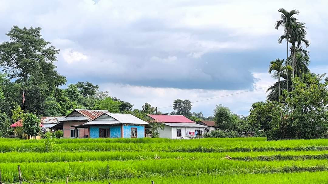 कृषि क्षेत्रमा आकर्षित बालचन खोरियाका किसान