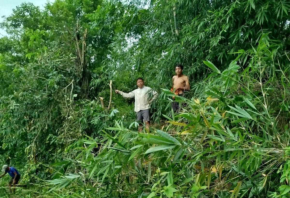 विद्युतीय जोखिम कम गर्न श्रमदान