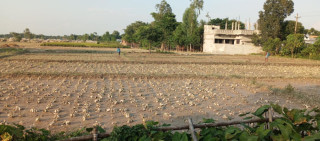 बाढीले दुई करोडको तरकारी क्षति