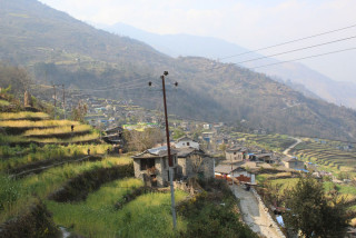 परम्परागत जौँ र उवाको व्यावसायिक खेती