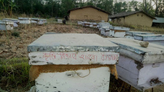 मह बेचेर वार्षिक चौध लाख आम्दानी