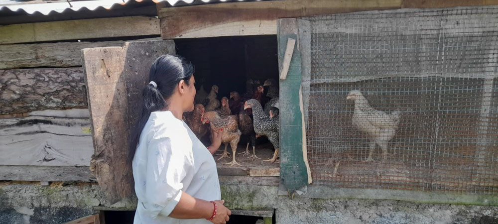 कृषि फार्मबाट वार्षिक रु १२ लाख आम्दानी