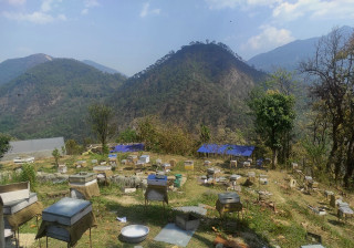 मौरीपालनबाट, वार्षिक रु ३५ लाख आम्दानी