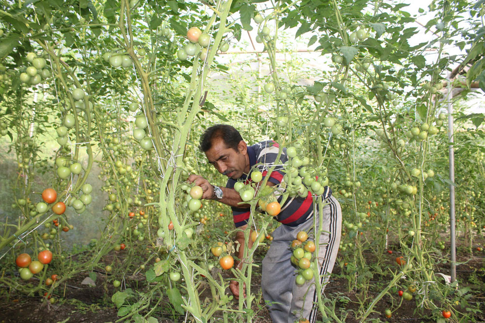 'आफ्नै खेतबारीमा नङग्रा खियाउँदा सन्तुष्टी मिल्दो रहेछ’