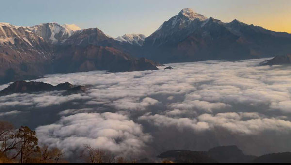 मुना मालिकाको प्रवर्द्धनका लागि पहल