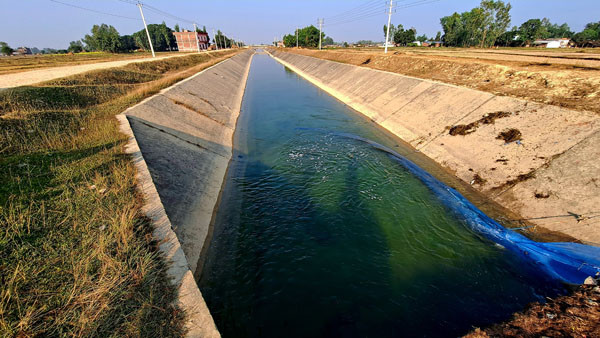 उन्नाइस वर्षमा सिक्टा सिँचाइ आयोजनाको भौतिक प्रगति ४१ प्रतिशत