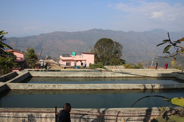 पाँच मुहान थपेर खानेपानी वितरण