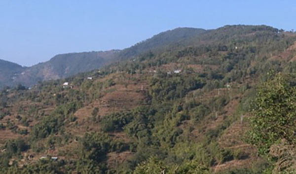 आयातित पेयपदार्थमा प्रतिबन्ध