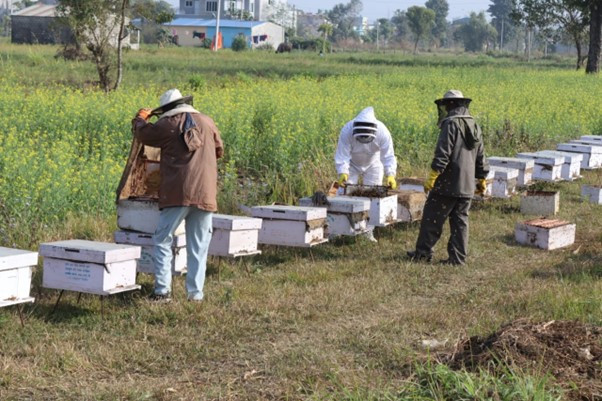 नवलपुरको देवचुलीका किसान मौरीपालनबाट लाभान्वित