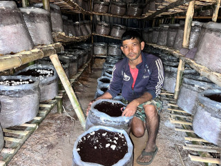 व्यावसायिक गोब्रे च्याउ उत्पादन सुरु
