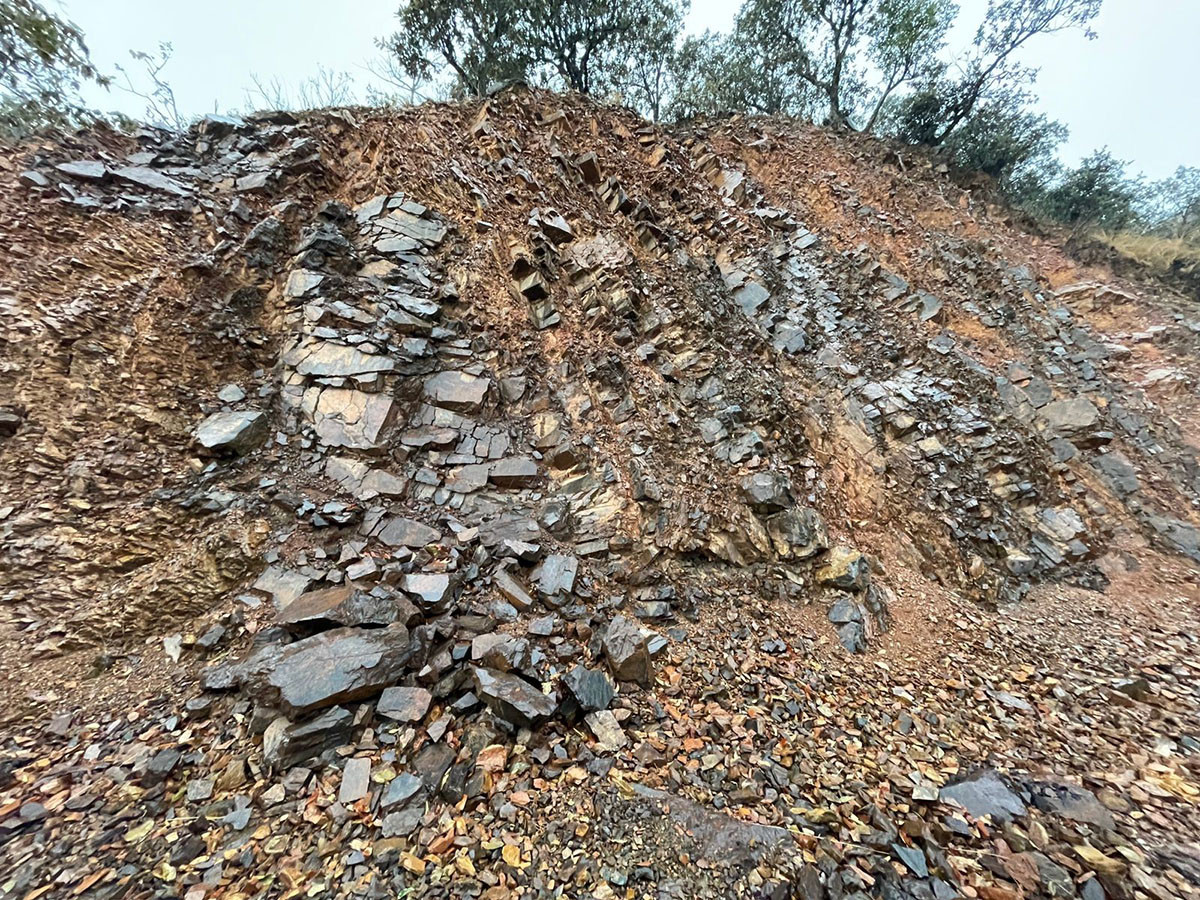 ‘ड्रिम प्रजेक्ट’ धौवादी फलाम खानी