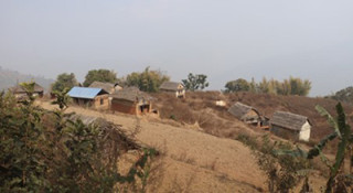 बाँदर आतङ्कले बसाइँ-सराइ