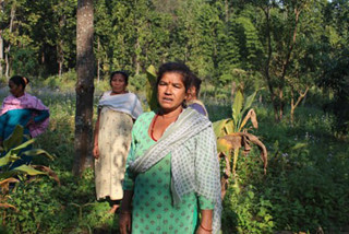 खाली जग्गामा खेती गरेर आम्दानी गर्दै महिला