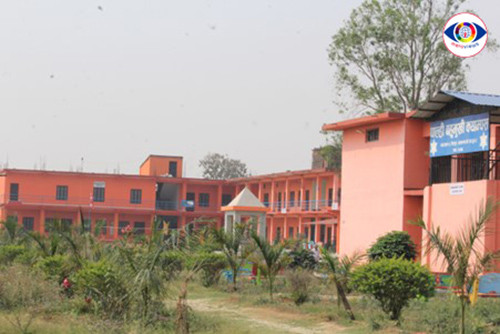 छोरीबुहारीले धानेको पाल्ही बहुमुखी क्याम्पस