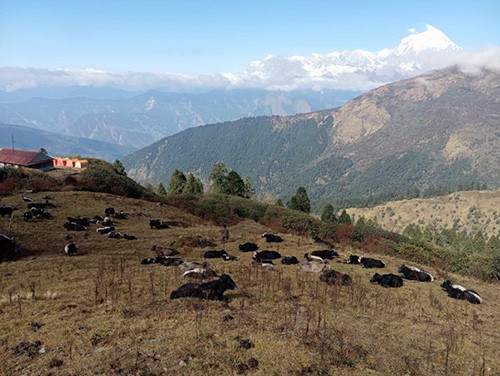 पर्यटकका पर्खाइमा बयली