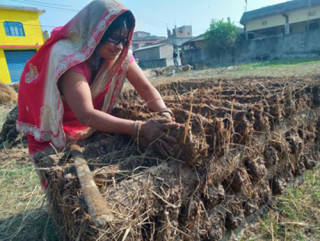 ‘गुइँठा’ को जोहो हिउँदमै