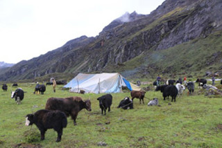 स्थानीय तह याक प्रवर्द्धनमा जुट्दै