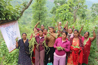 रैथाने सिप र प्रविधि बढाउन ‘आइपिएम’ कृषक पाठशाला’