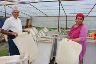 सेवा निवृत्त शिक्षकद्वारा हाते कागज