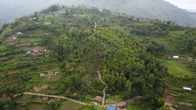 वाक्चाखामा ‘जाल्पादेवी गुराँस पदमार्ग’