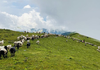 लेक उक्लिए गोठाला