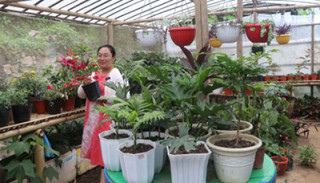 फूलसँग खेल्दाखेल्दै नर्सरी व्यवसाय शुरु गरेकी सविना