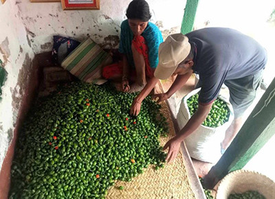आम्दानीको स्रोत 'अकबरे'