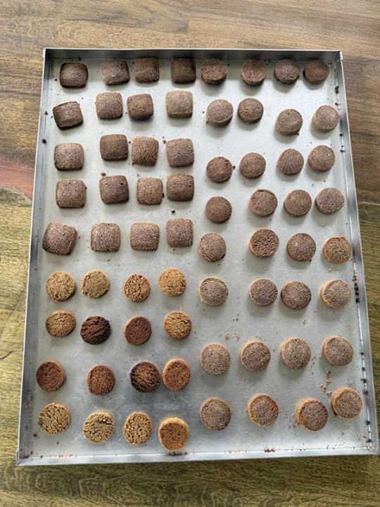 कोदोको बिस्कुट उत्पादन गर्न उद्योग स्थापना