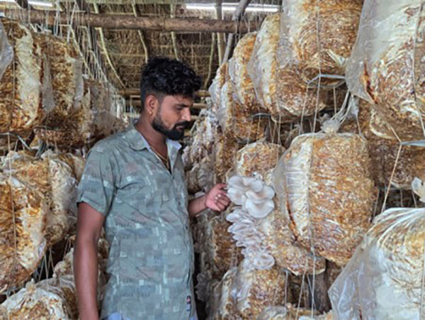 च्याउ खेतीबाट वार्षिक रु. १५ लाख आम्दानी