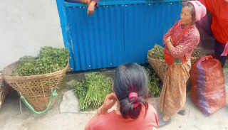 निगुरो बिक्रीबाट खर्च चलाउन सहज