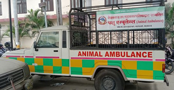 ‘एनिमल एम्बुलेन्स’ सञ्चालन