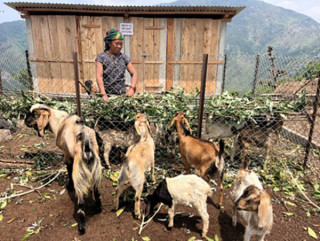 सिमान्तकृतलाई आयआर्जन कार्यक्रम