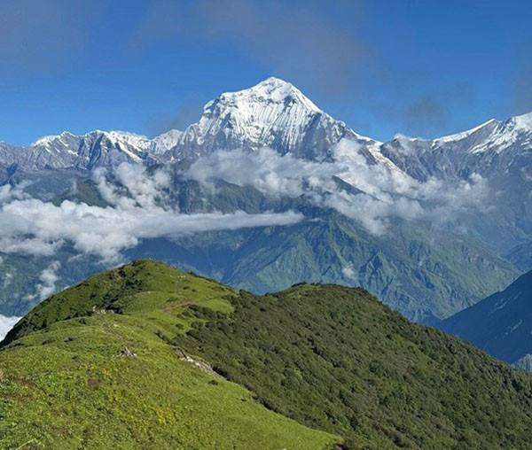 आरोहण गर्न २४ जनाले अनुमति लिए