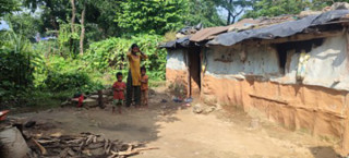 राउटेको जीवनशैली फेरियो