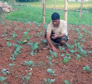 व्यावसायिक कृषिमा युवाको आकर्षण