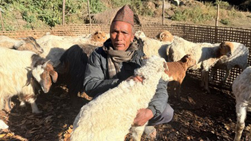 भेंडागोठमा पाँच दशक बिताएका नरेन्द्रलाई पढ्न नपाएकोमा पछुतो