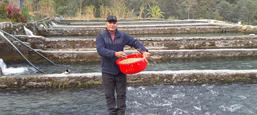 विकट गाउँमा रेन्बो ट्राउटपालन गर्दै पूर्वप्रहरी