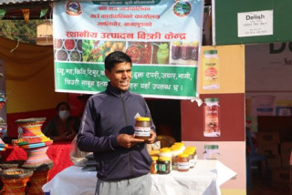 विदेशमा हण्डर खाएपछि गाउँ फर्किएका लोकबहादुर मौरीपालनमा