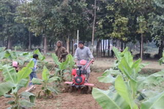 शिक्षण पेसासँगै कृषिमा रमाउँदै सर्वेन्द्र