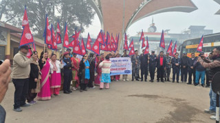 विद्युतीय पोलमा राष्ट्रिय झण्डा