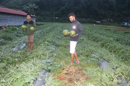 खोला किनारमा तरबुजाखेती, भनेजस्तै आम्दानी