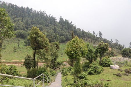 सोलेडाँडामा ‘जडीबुटी पार्क’