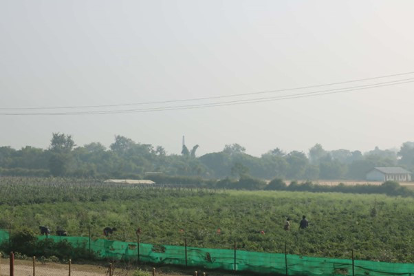 तुलसीपुरका थारु महिला तरकारीखेतीबाट आत्मनिर्भर बन्दै