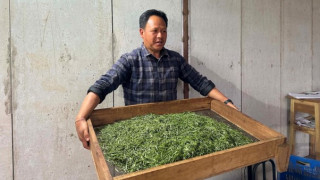 आठ करोडको लगानीमा ‘अर्गानिक अर्थोडक्स’ चिया उद्योग सञ्चालन