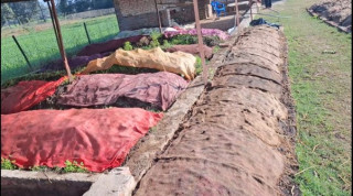 गड्यौलाको मल उत्पादन गरी आत्मनिर्भर बन्दै सिंह
