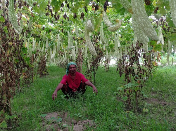 सङ्कल्प र लगनले चुम्दै सफलता