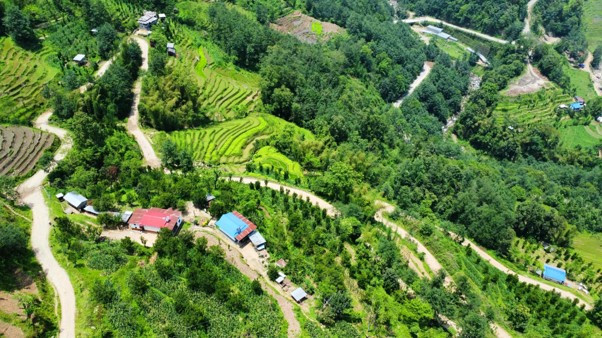 सिरदली–चौडेनी सडक स्तरोन्नती